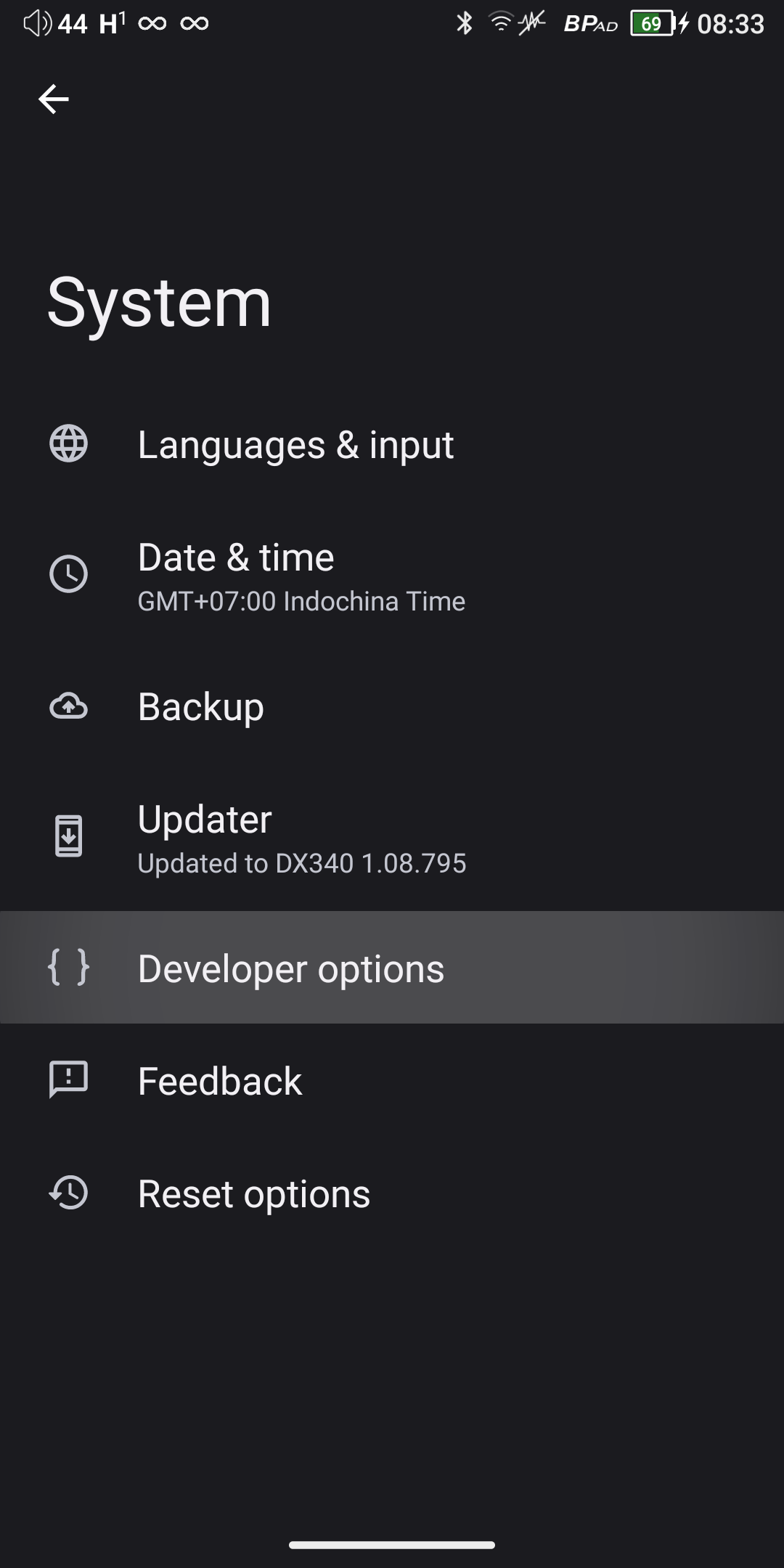 System — open Developer options